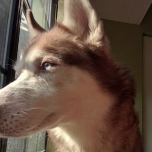 Meet your Posher, Mia